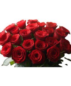 Holiday House Extras